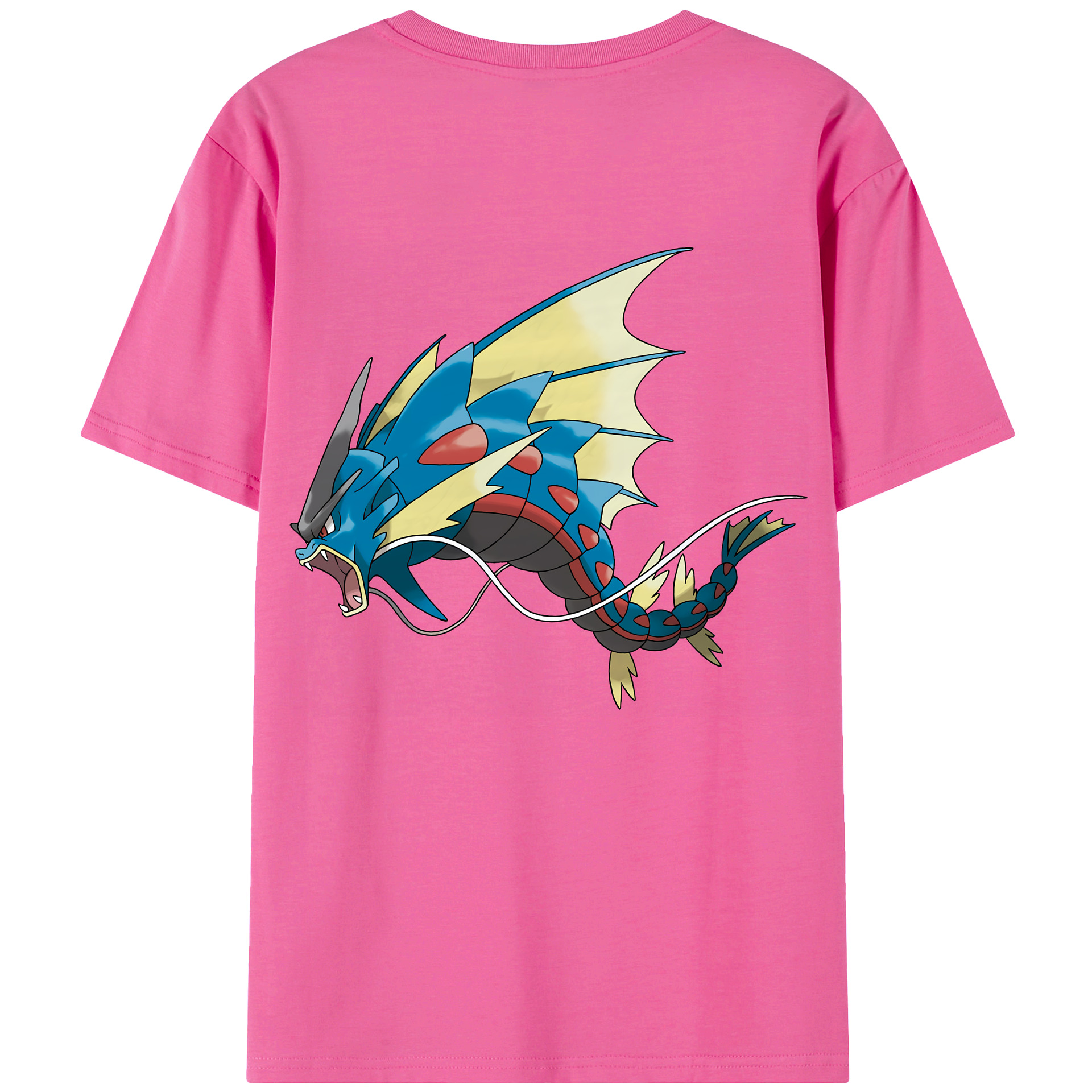 （画像用） ポケットモンスター Pokémon レディース半袖Tシャツ(バックプリント)